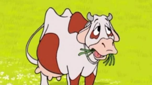 dlaczego-zwyklej-krowie-zawdzieczam-zdrowie