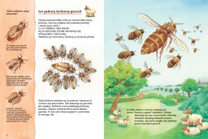 bliskie-rzeczywistosci-piekne-ilustracje-przedstawiajace-pszczoly-miodne-w-ich-niezwyklym-swiecie
