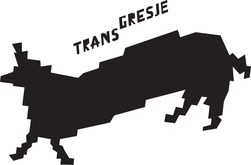 FESTIWAL TRANSGRESJE