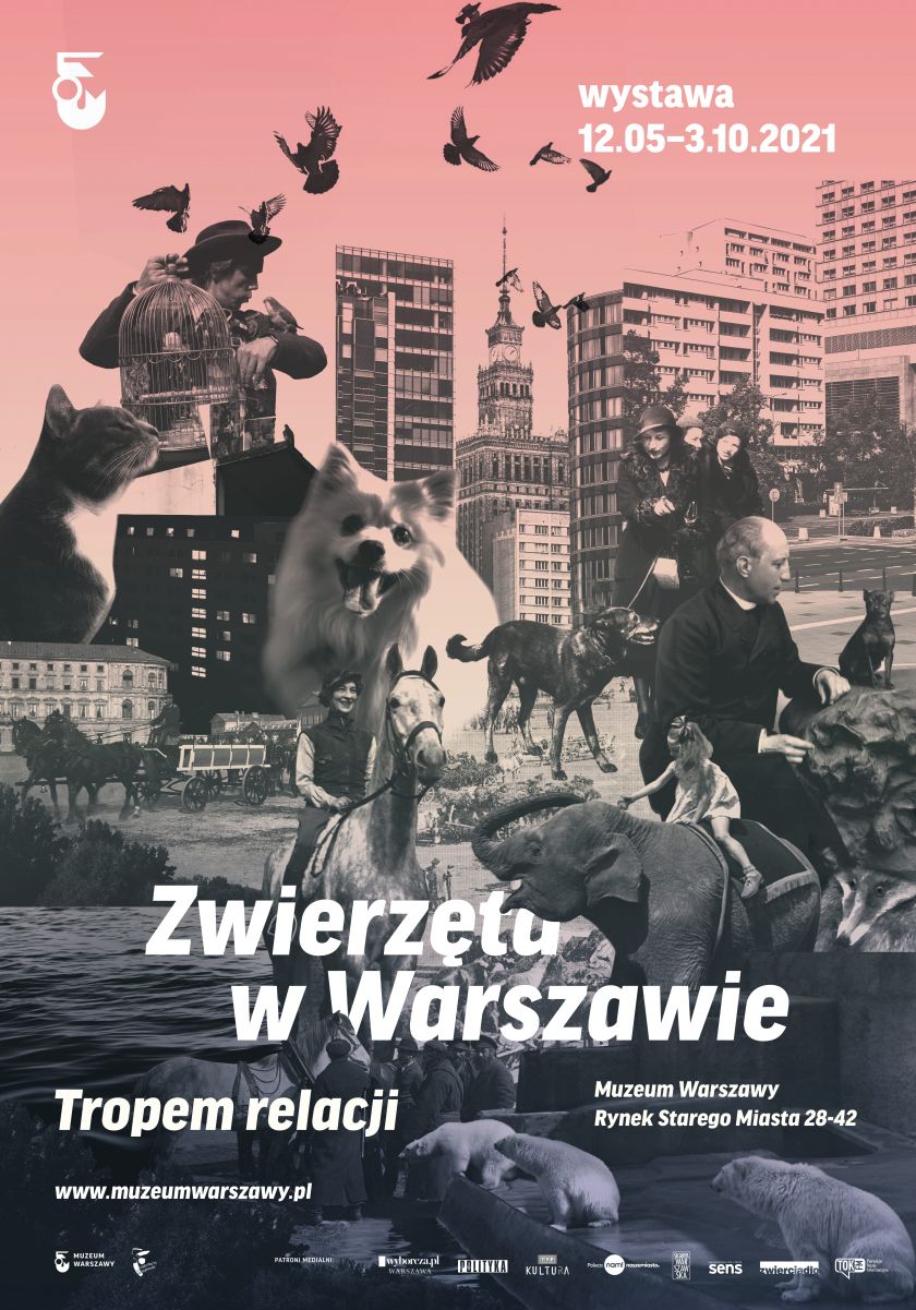 Wystawa