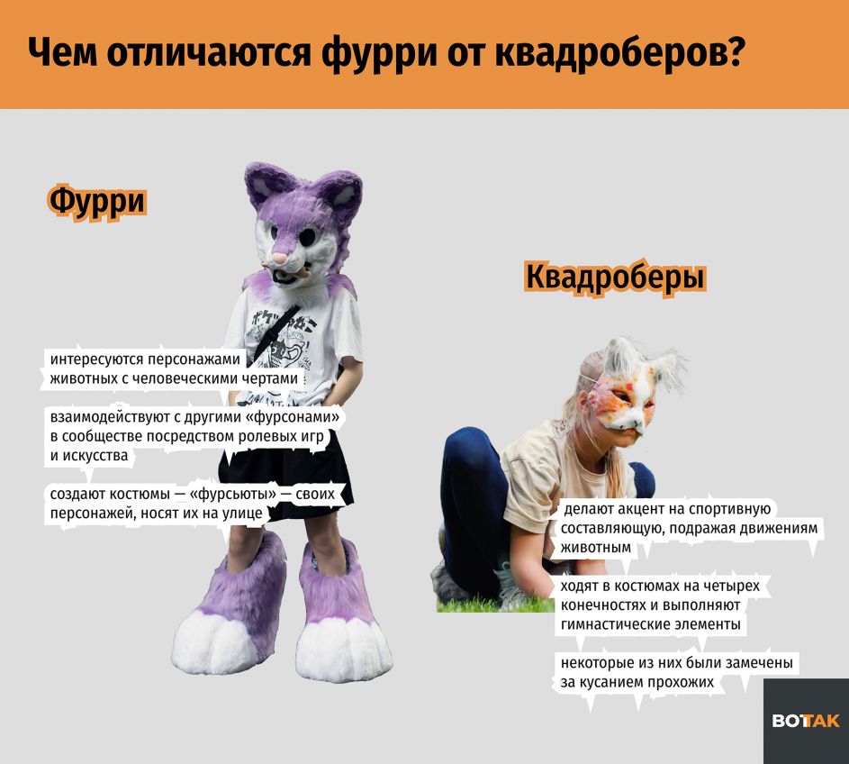  рентген зоосекс 