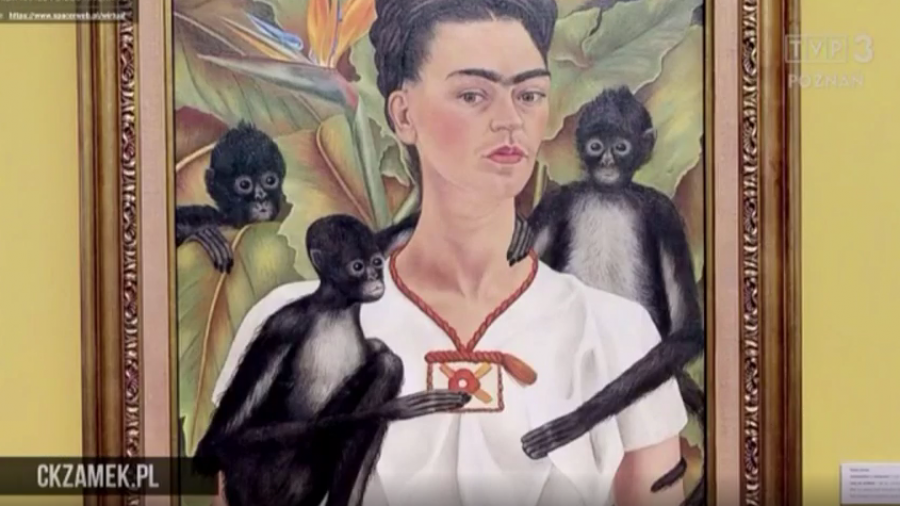 pozkultura