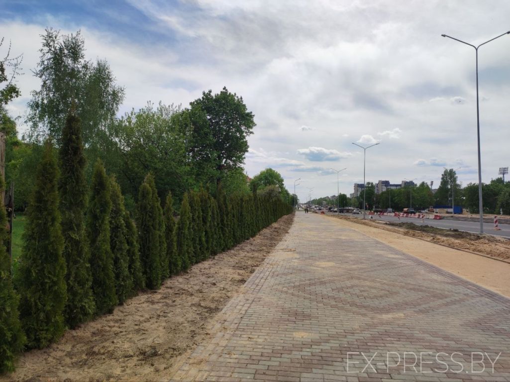 Туі ў Барысаве ў траўні 2022 года. (Фота: express.live)