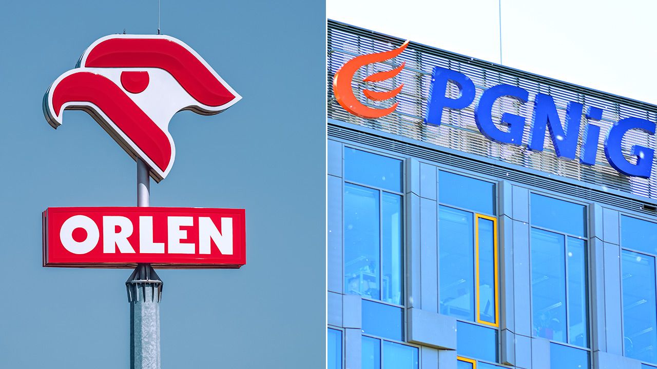 Plan połączenia Orlenu i PGNiG (fot. Shutterstock)