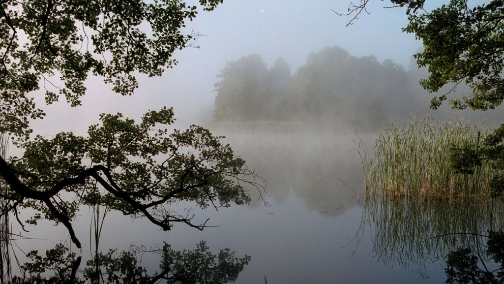Charakterystycznymi elementami przyrody Parku są także torfowiska, oraz ekosystemy wodne i łąkowe. Fot. Grzegorz Firlit/Shutterstock 