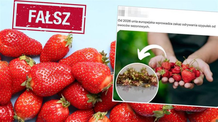 Unia Europejska i zakaz odrywania szypułek? „Nie, to nieprawda” (Shutterstock/X.com)