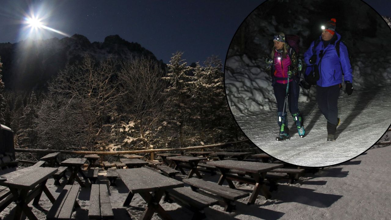 Tatra Mountains Enforce Year-Round Night Ban to Protect Wildlife