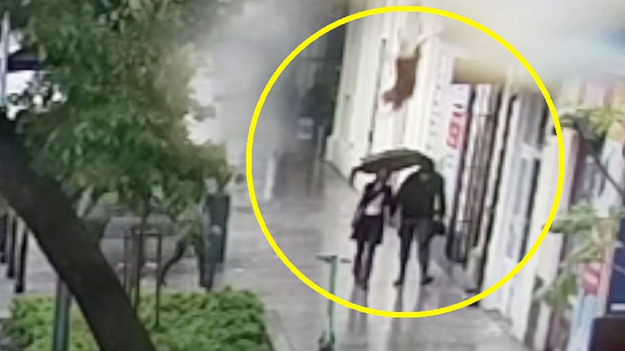 Bał się burzy. Pies wyskoczył z drugiego piętra prosto na kobietę [WIDEO]