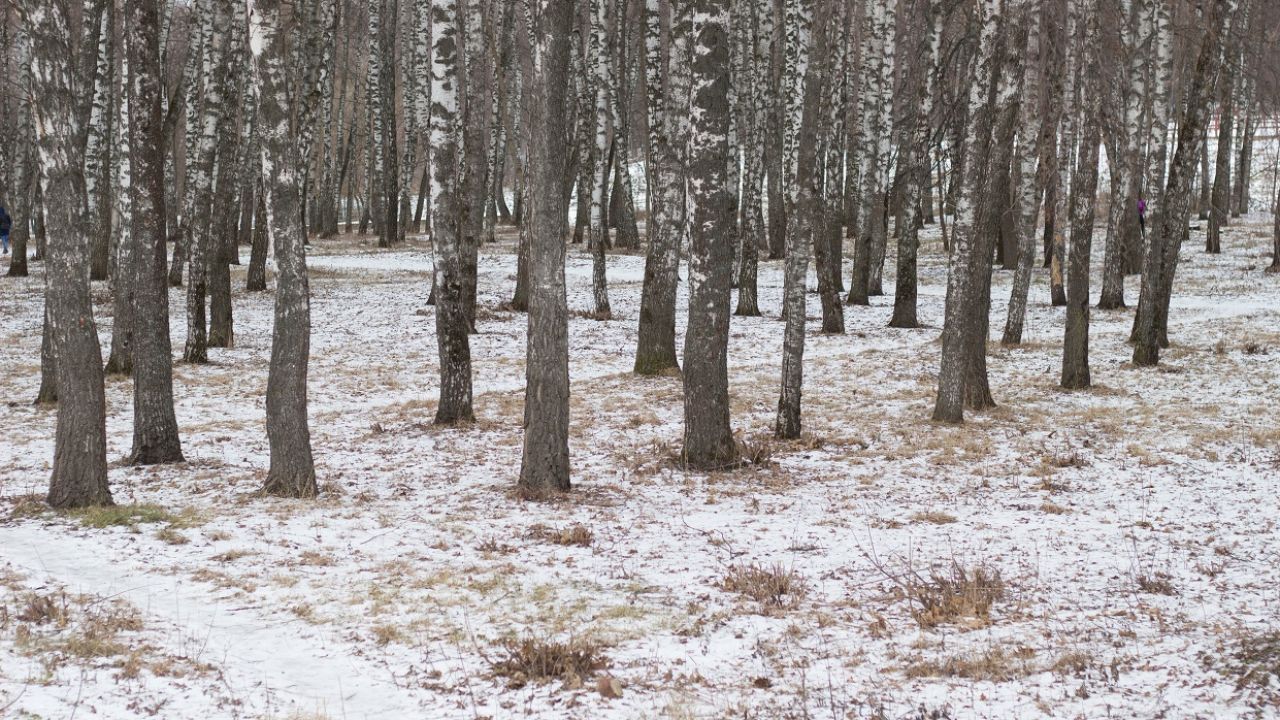 W górach i na wschodzie możliwe słabe opady śniegu (fot. Shutterstock)