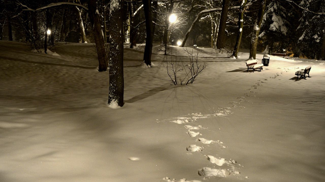 Prognoza pogody na noc z 28 na 29 stycznia (fot. arch.PAP/Darek Delmanowicz, zdjęcie ilustracyjne)