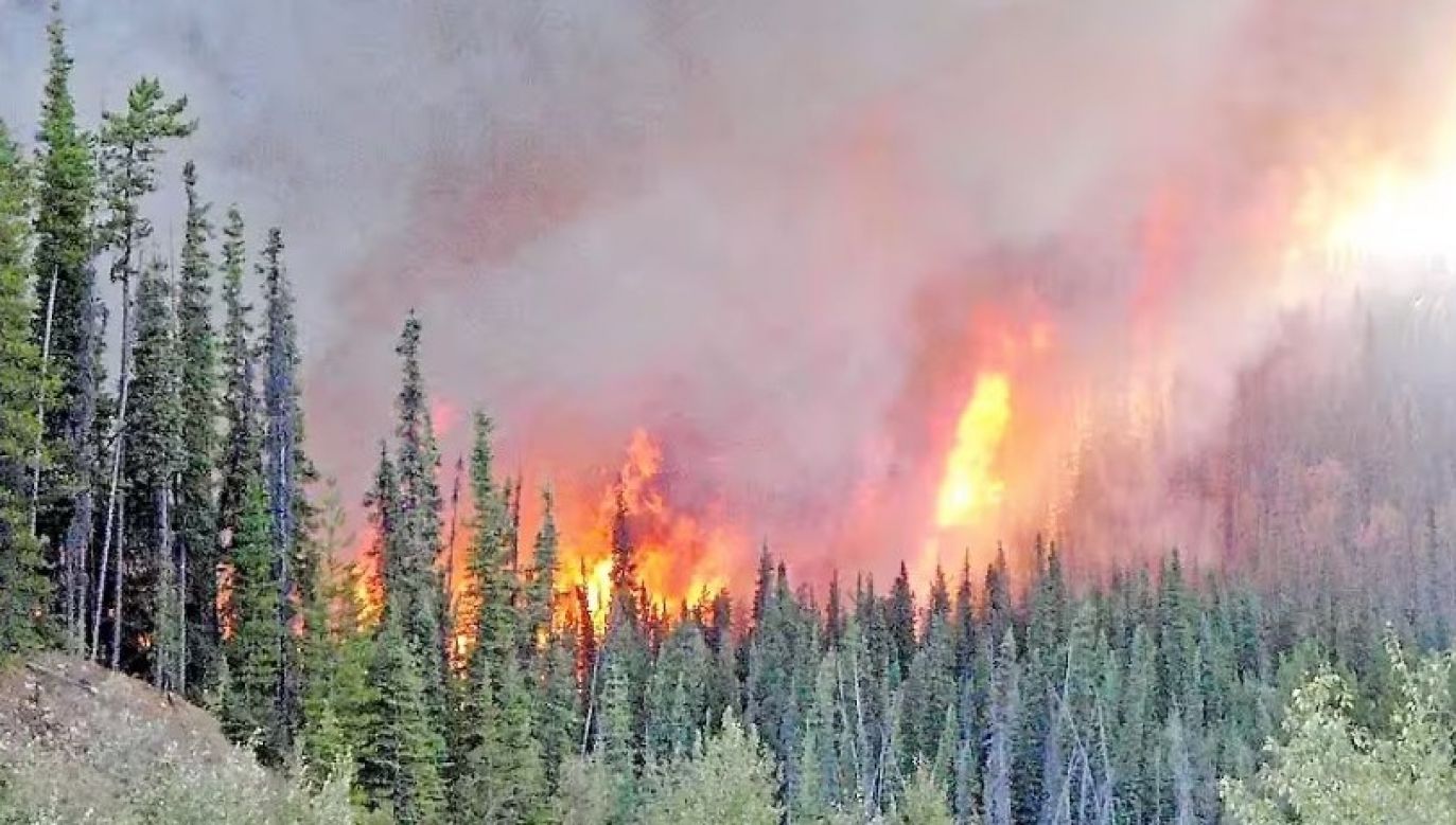 W Kanadzie płoną lasy już w około 350 miejscach. (Fot. Twitter/@mtlflextv)