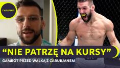 UFC, MMA