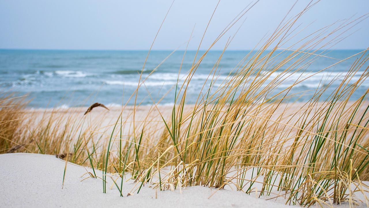 Znaleziono zwłoki filipińskiego marynarza (fot. Shutterstock/Michele Ursi) Znaleziono zwłoki filipińskiego marynarza (fot. Shutterstock/Michele Ursi)
