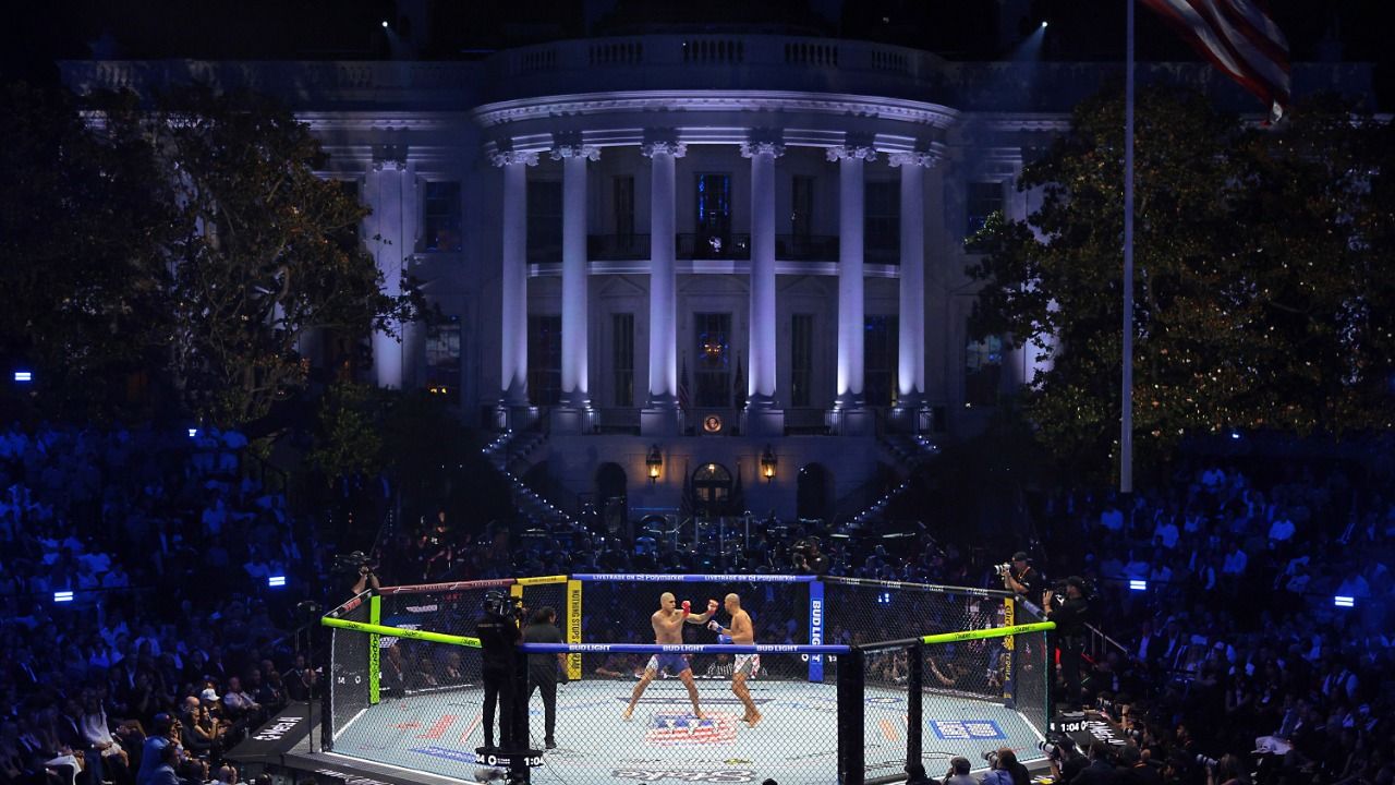 UFC Freedom 250. Najwięksi fani Donalda Trumpa oglądają galę MMA z ...