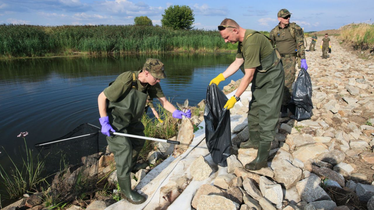 Żołnierze usuwają śnięte ryby na lubuskim odcinku Odry (fot. PAP/Lech Muszyński)