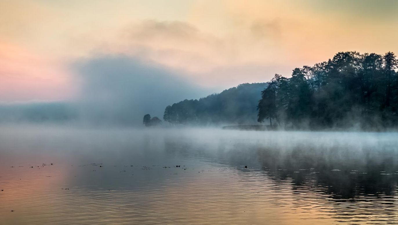 Naukowiec naniósł na mapę dane dotyczące COVID-19 (fot. Shutterstock/Shaiith)