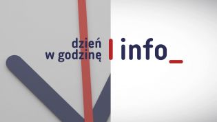 Dzień w godzinę