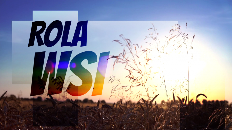  Rola wsi
