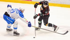 Tvp sport live stream online