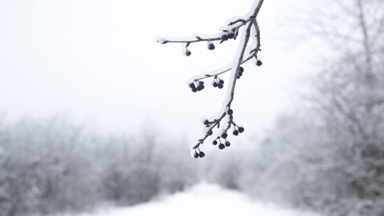 (fot. EPA/STEPHEN MORRISON) (fot. EPA/STEPHEN MORRISON)