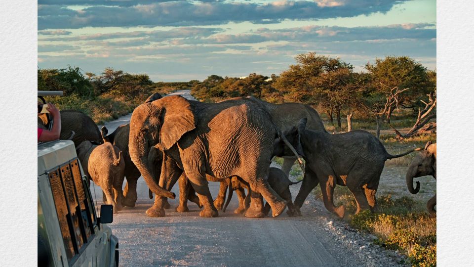 Odkrywamy Tajemnice życia Klasa 4 Odkrywamy tajemnice Afryki - Botswana i Zambia