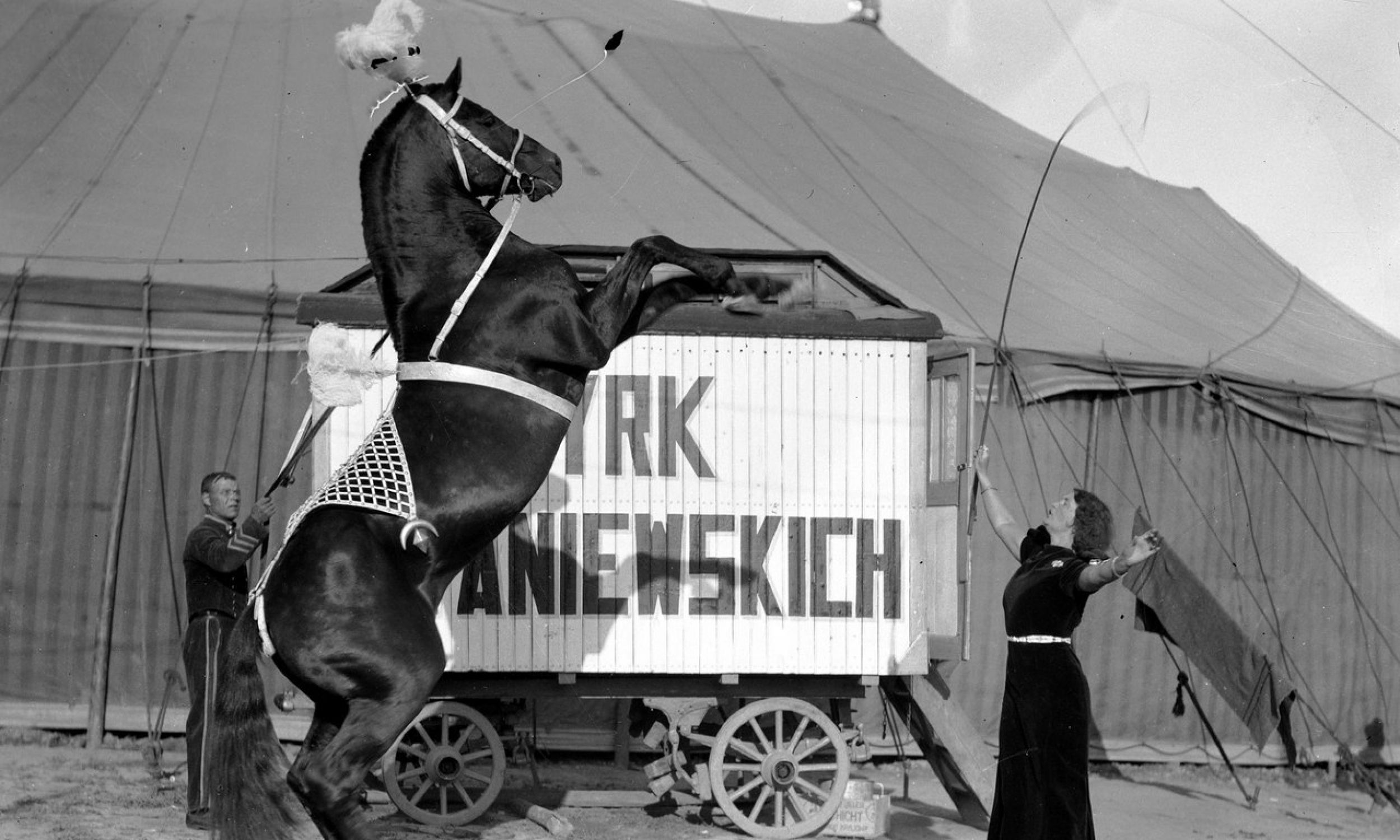 Artystka cyrkowa podczas tresury konia. Maj 1934. Fot. NAC/IKC, sygn. 1-K-12506-37