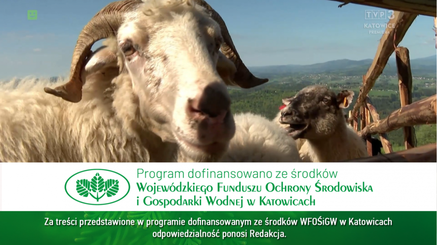 Fot. TVP3 Katowice