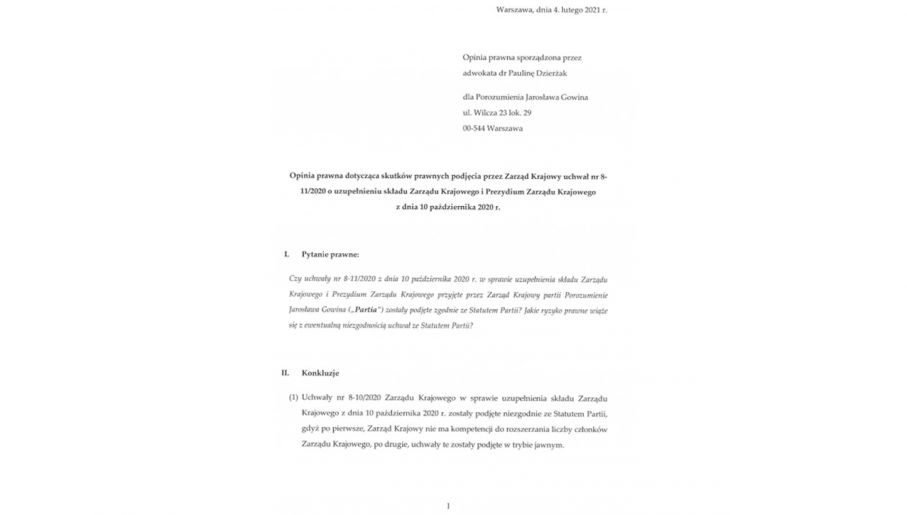 Opinia prawna dla partii Porozumienie. Dokument w całości dostępny na końcu artykułu  (fot.mat. pras.)