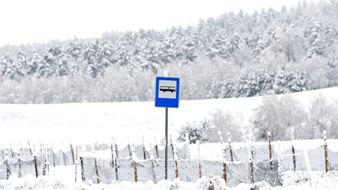 IMGW wydało alerty dla prawie całego kraju (fot. PAP/Darek Delmanowicz) IMGW wydało alerty dla prawie całego kraju (fot. PAP/Darek Delmanowicz)