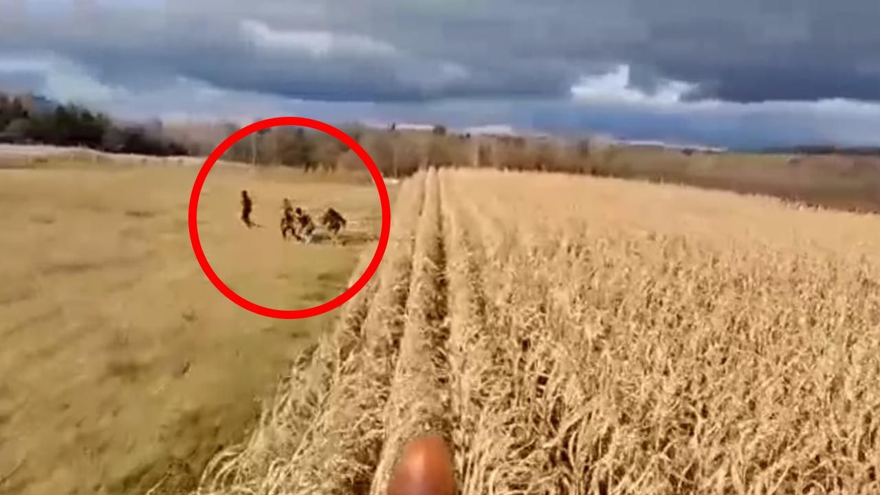 Pobiegli schować się na nastęnym polu (fot. YouTube/Bielskeu) Pobiegli schować się na nastęnym polu (fot. YouTube/Bielskeu)