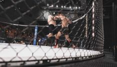 8. Mistrzostwa MMA w Gliwicach