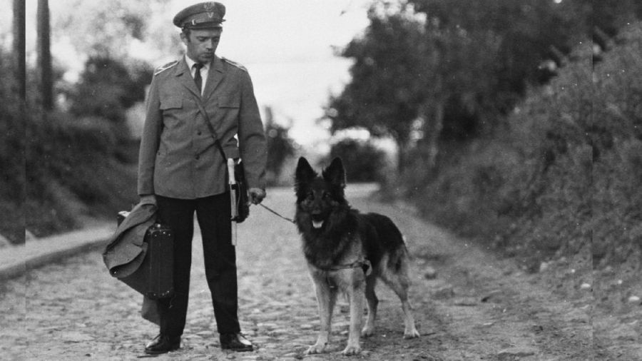 Serial „Przygody psa Cywila” - reż. Krzysztof Szmagier, wyk. Krzysztof Litwin i pies Bej. Zdjęcia z 1970 roku. Premierę serial miał 50 lat temu – 9 września 1971 roku. Fot. TVP
