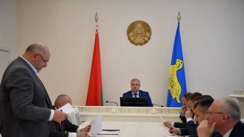 Нарада чыноўнікаў адносна кашэння травы ў Гомлі. Фота: Владимир Привалов. Официально / Telegram