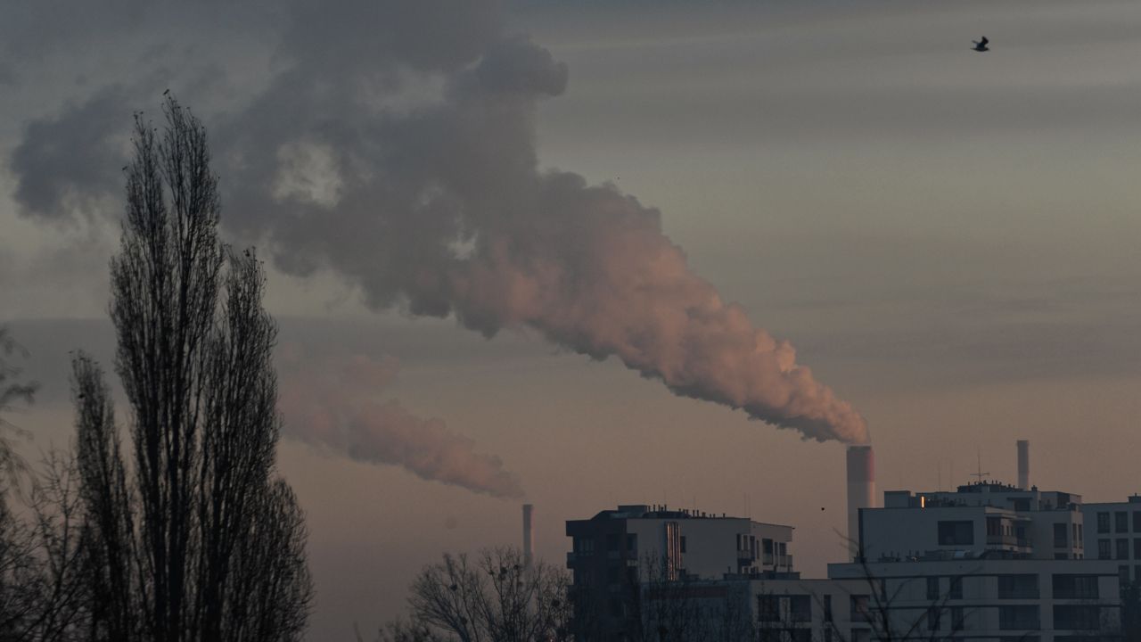 Elektrociepłownia Siekierki jest największym tego typu zakładem w Polsce (fot. PAP/Jacek Turczyk) Elektrociepłownia Siekierki jest największym tego typu zakładem w Polsce (fot. PAP/Jacek Turczyk)