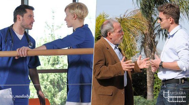 Quiz odcinkowy 491-492