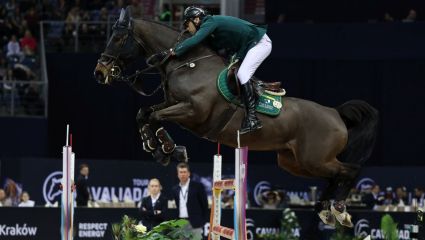 Jeździectwo. Cavaliada Warszawa, skoki – Konkurs Dużej Rundy. Transmisja online na żywo w TVP Sport (7.11.2025)