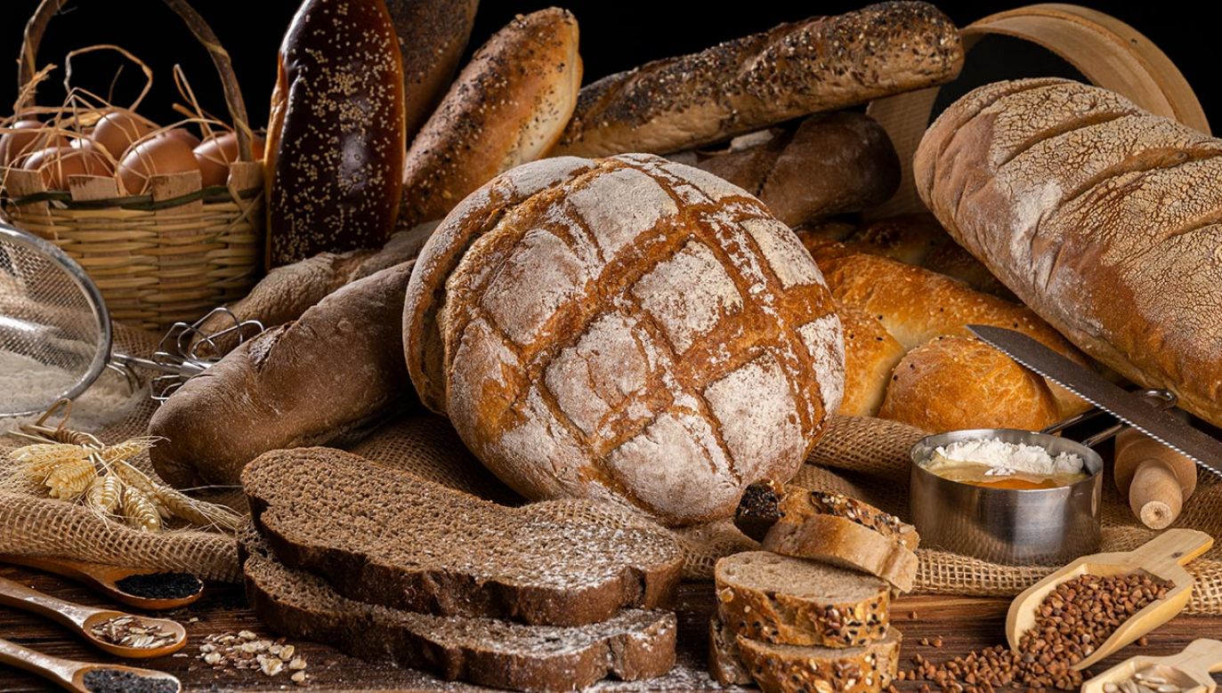 Zakwas to niezbędny składnik dobrego chleba (fot. Shutterstock)