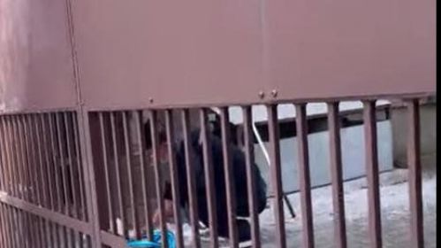  An employee of the Chinese embassy burns things in its area. Photo: delfi.lt