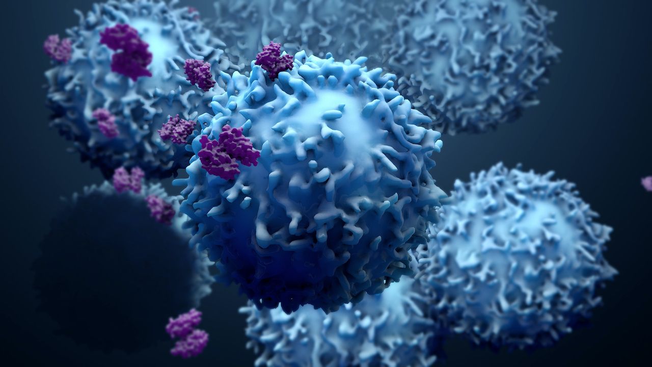Wiele nowotworów z wyłączonym białkiem YAP jest przy tym wysoce śmiertelnych (fot. Shutterstock/Design_Cells) Wiele nowotworów z wyłączonym białkiem YAP jest przy tym wysoce śmiertelnych (fot. Shutterstock/Design_Cells)