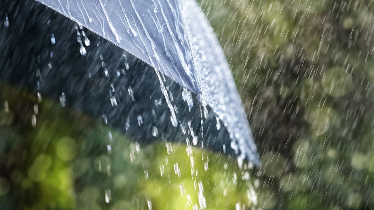 W czwartek możemy spodziewać się deszczu i burz (fot. Shutterstock) W czwartek możemy spodziewać się deszczu i burz (fot. Shutterstock)