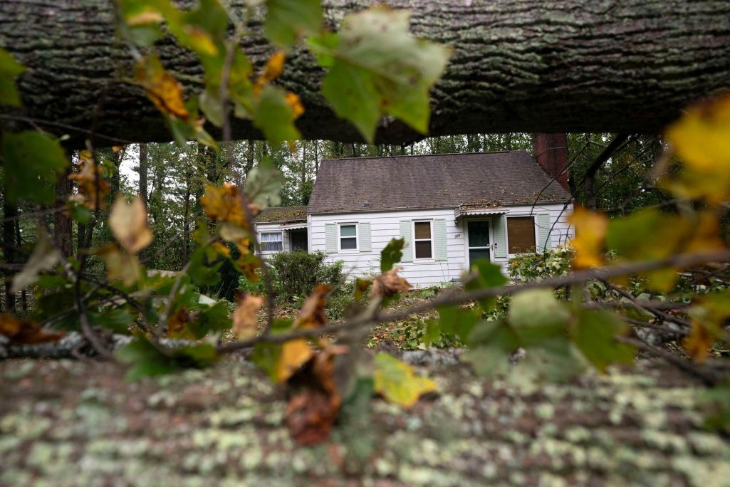 Паваленыя дрэвы пасля ўрагану Гэлен у Эшвіле, Паўночная Караліна, ЗША. 28 верасня 2024 года. Фота: Sean Rayford / Getty Images