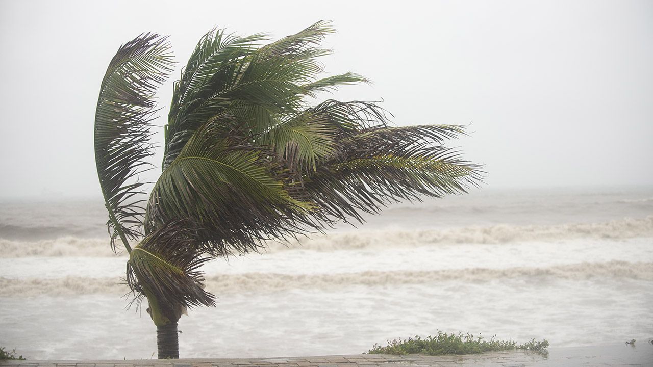 Burza tropikalna (fot. Leonardo Montecillo/Agencia Press South/Getty Images)