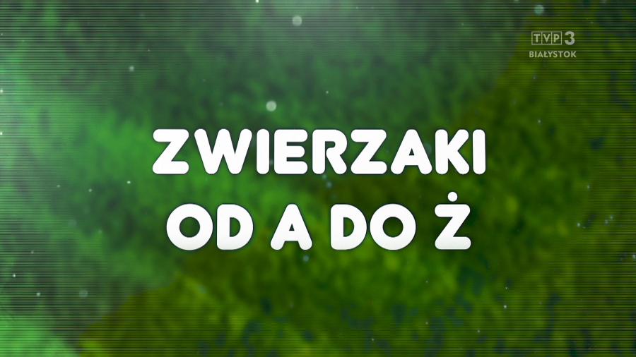 fot. TVP3 Białystok 