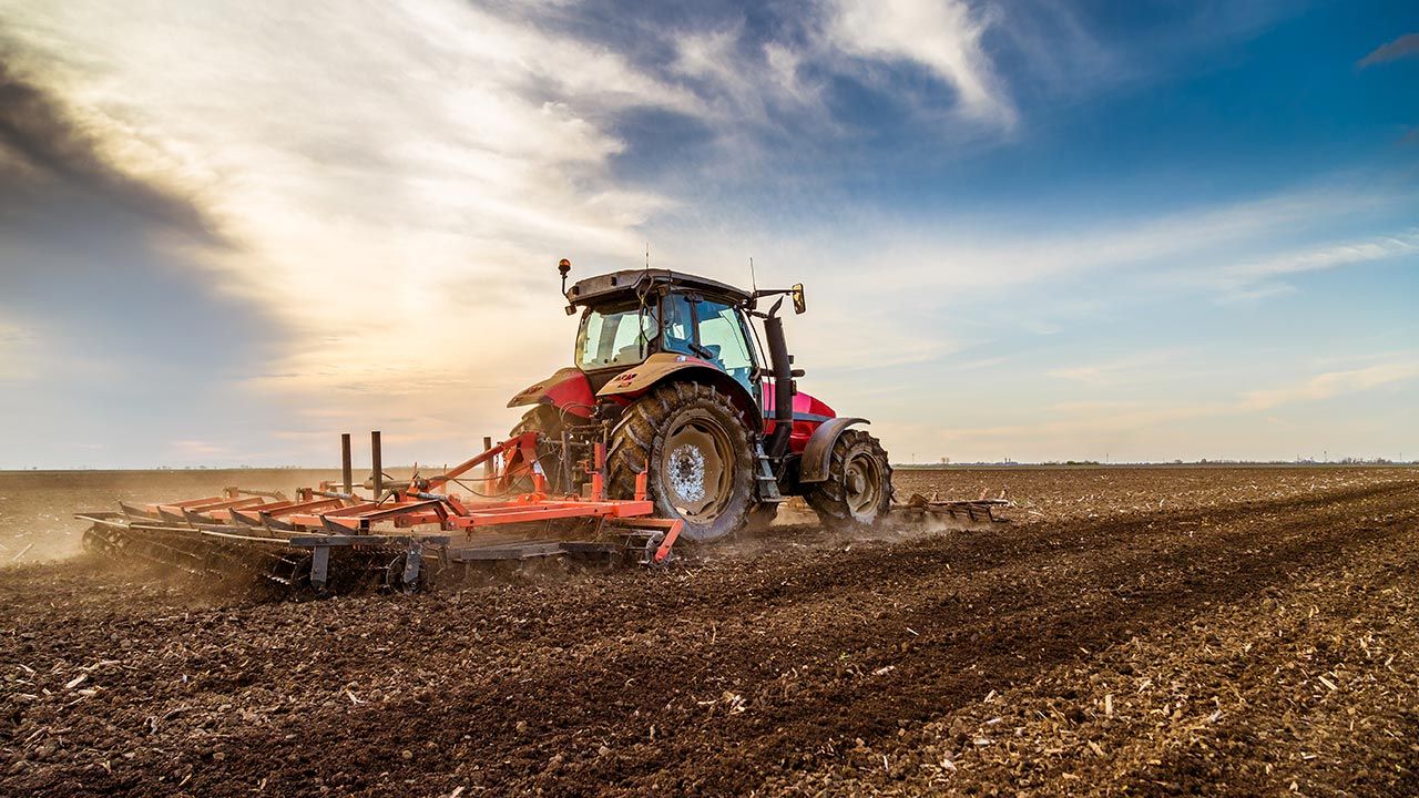 Środki z KPO wesprą kilka obszarów życia na wsi (fot. Shutterstock/oticki) Środki z KPO wesprą kilka obszarów życia na wsi (fot. Shutterstock/oticki)