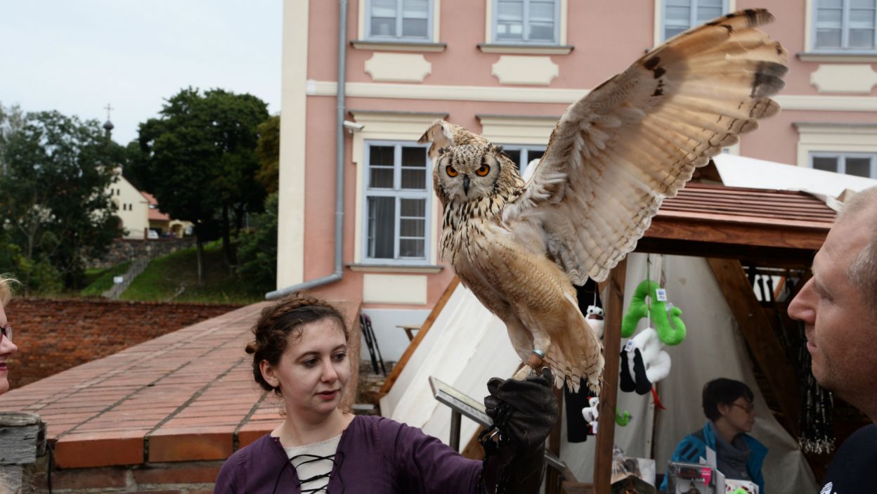 Odbył się także pokaz drapieżnych ptaków (fot. J. Bogacz/TVP)