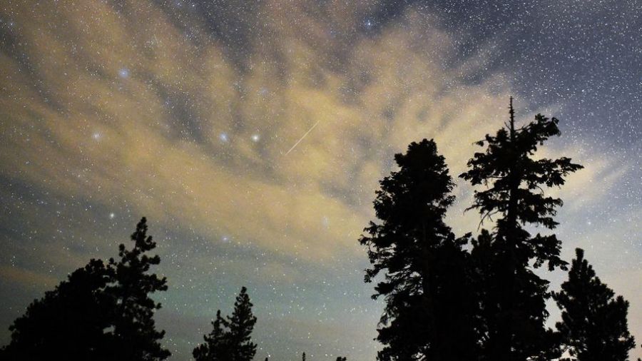 Noc perseidów. Wspólne oglądanie nieba w Szczecinie