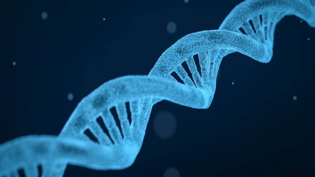 Cząstki elementarne zdołały utworzyć DNA, bez którego nie byłoby życia (fot. ABM)