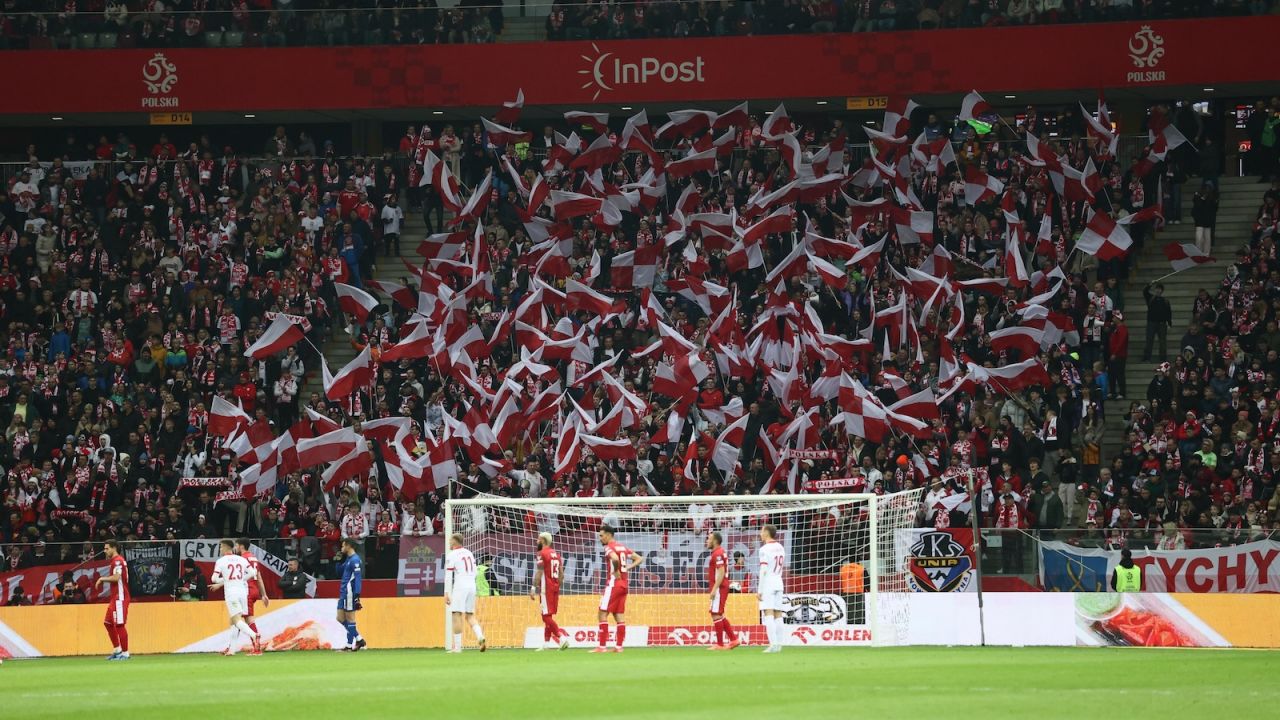Kibice reprezentacji Polski (fot. PAP)