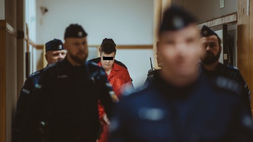 Канвой суправаджае ў залу суда Дор’яна С., абвінавачанага ў згвалтаванні і забойстве беларускі Лізы 