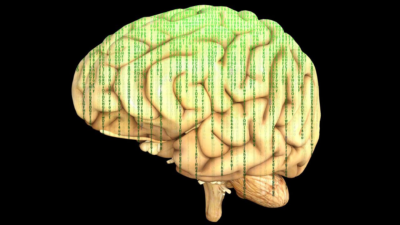 Dokładne mapy mózgu, to aktualne od wielu lat marzenie neurobiologów  (fot. pixabay/TheDigitalArtist)